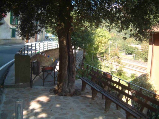  Image name: 05 leccio.jpg 
 width: 512 pixel 
 height: 384 pixel 
 Size: 70804 bytes 
 Click to enlarge 